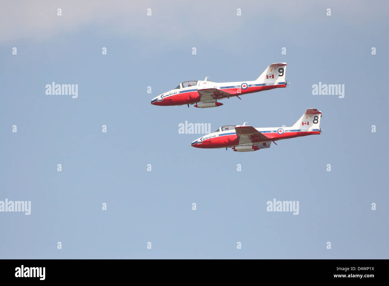 Le 431e Escadron de démonstration aérienne des Snowbirds de la Royal Canadian Air Force. Banque D'Images