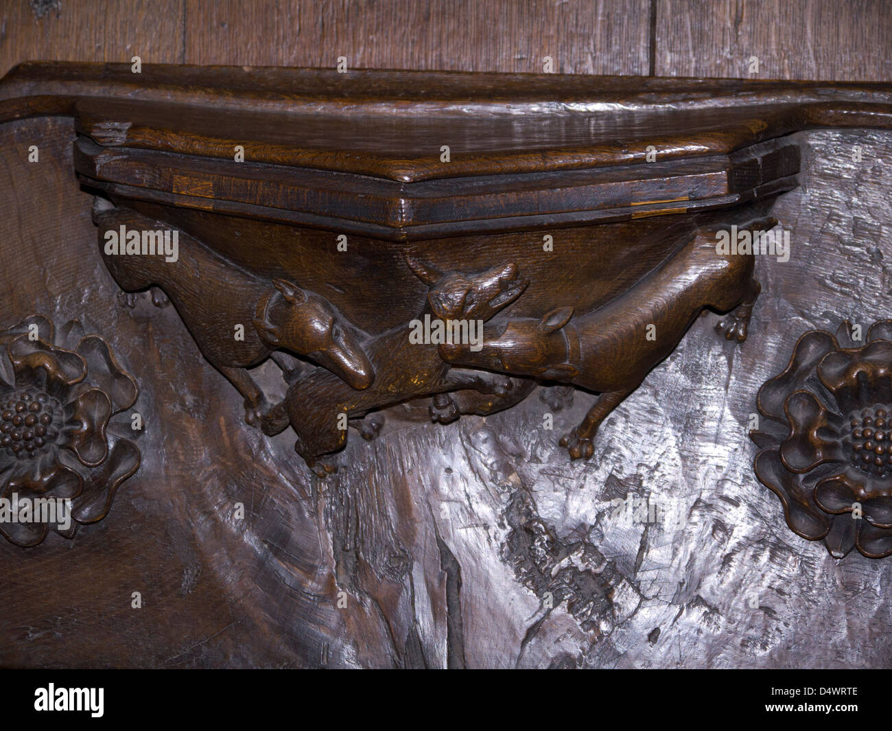 La sculpture sur bois sur sièges misericord à Ripon Cathédrale dans Yorkshire Angleterre Banque D'Images
