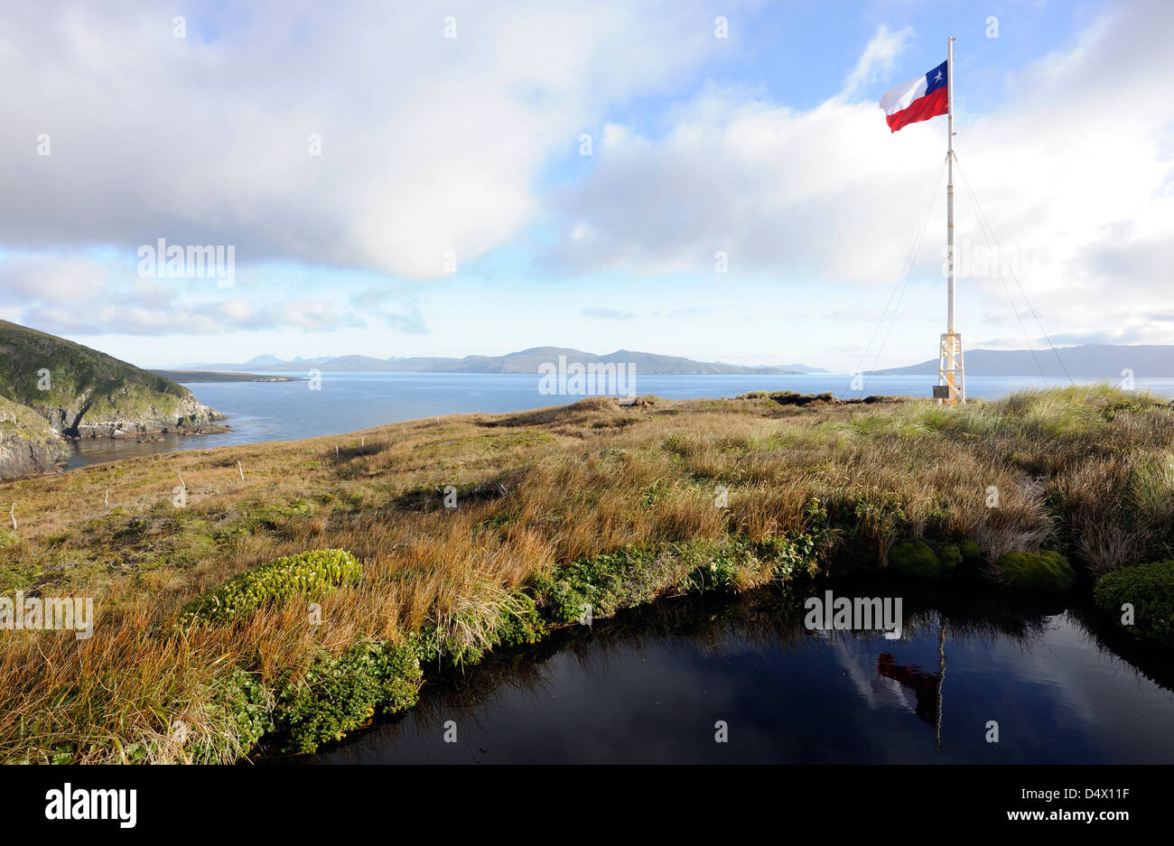 Le drapeau national du Chili, La Estrella Solitaria, (le Lone Star) en vol au dessus du Parc National du Cap Horn. Cabo de Hornos. Chili Banque D'Images