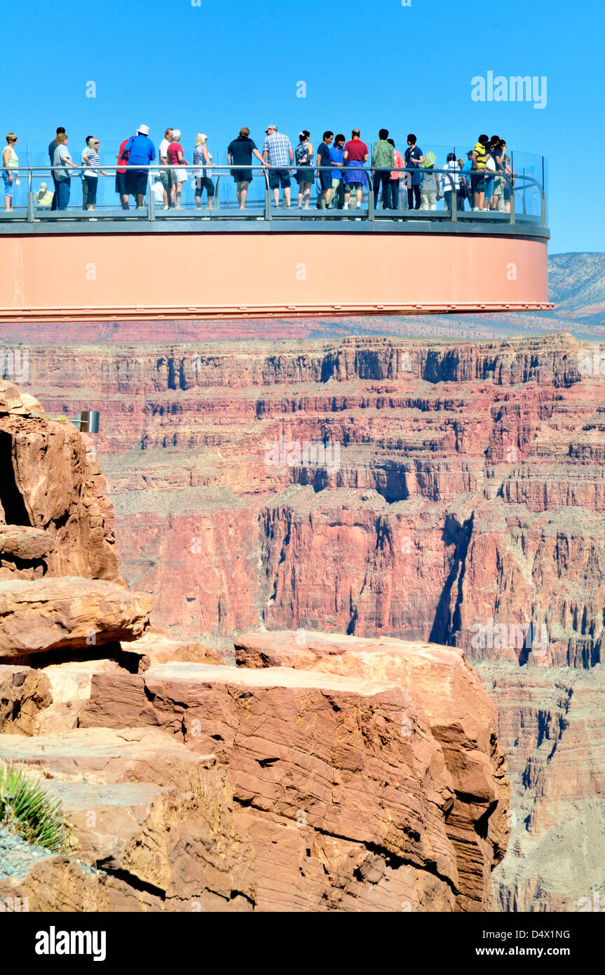 Les visiteurs regarder vers le bas au Grand Canyon à travers le plancher  transparent du Skywalk, une plate-forme de verre en porte-à-faux Photo  Stock - Alamy