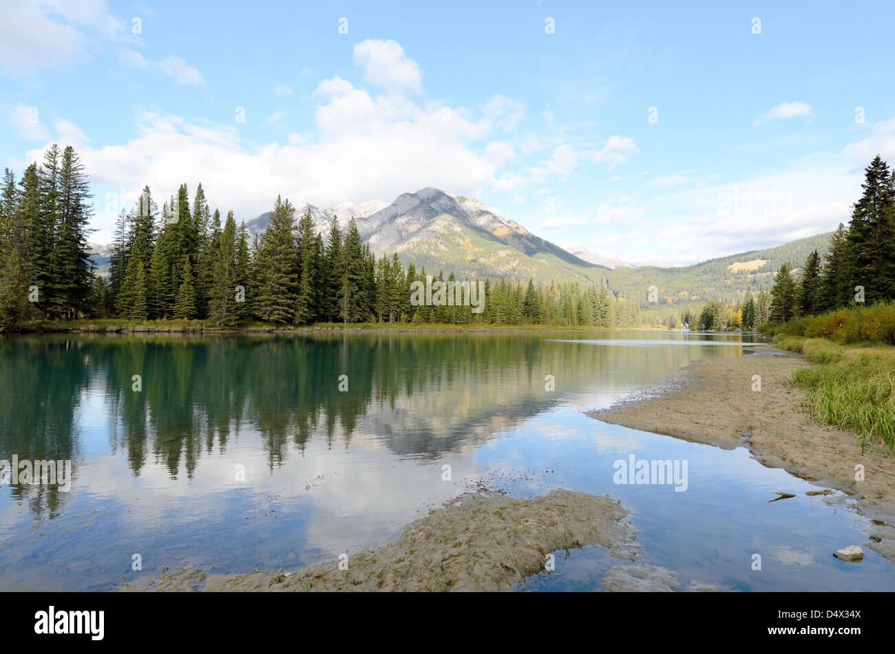 Bow River en face du mont Norquay Banff National Park Alberta Canada Banque D'Images