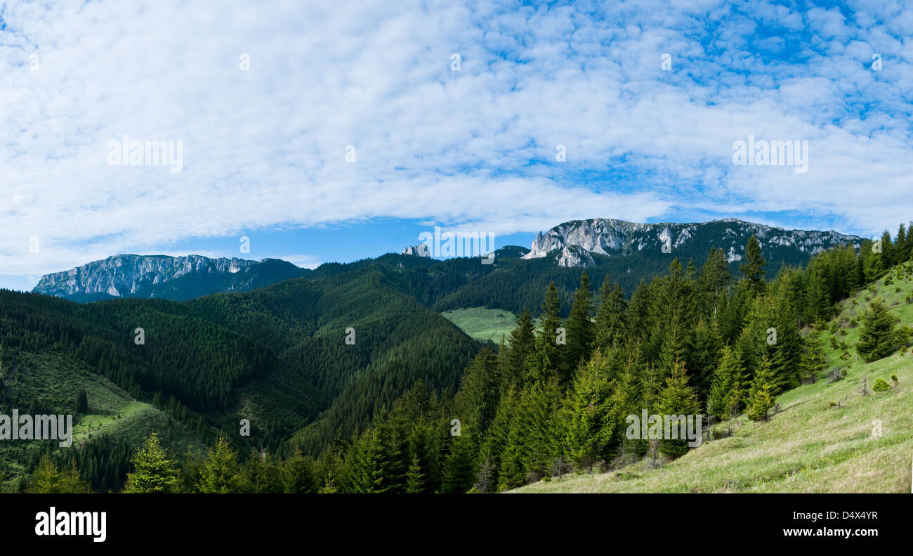 Monts Hasmas, Harghita, Roumanie : vue panoramique sur les montagnes pendant la saison printemps Banque D'Images