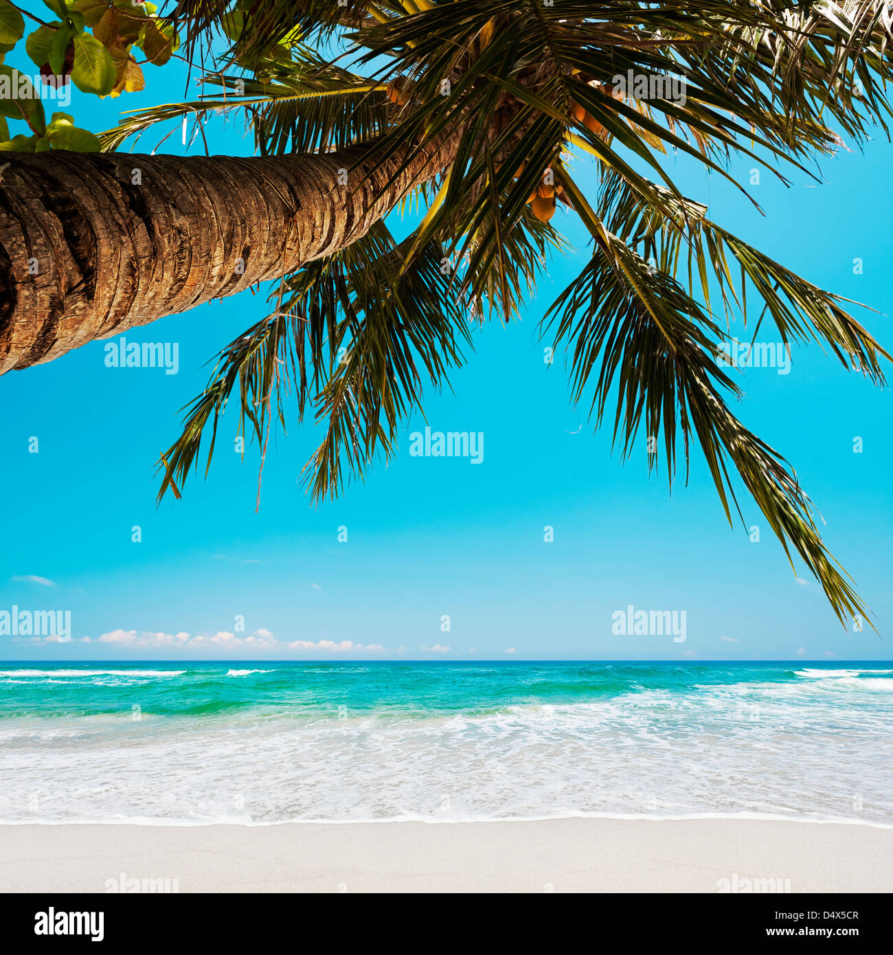Tropical Beach le matin. La composition carrée. Banque D'Images Tropical Beach le matin. La composition carrée. Banque D'Images