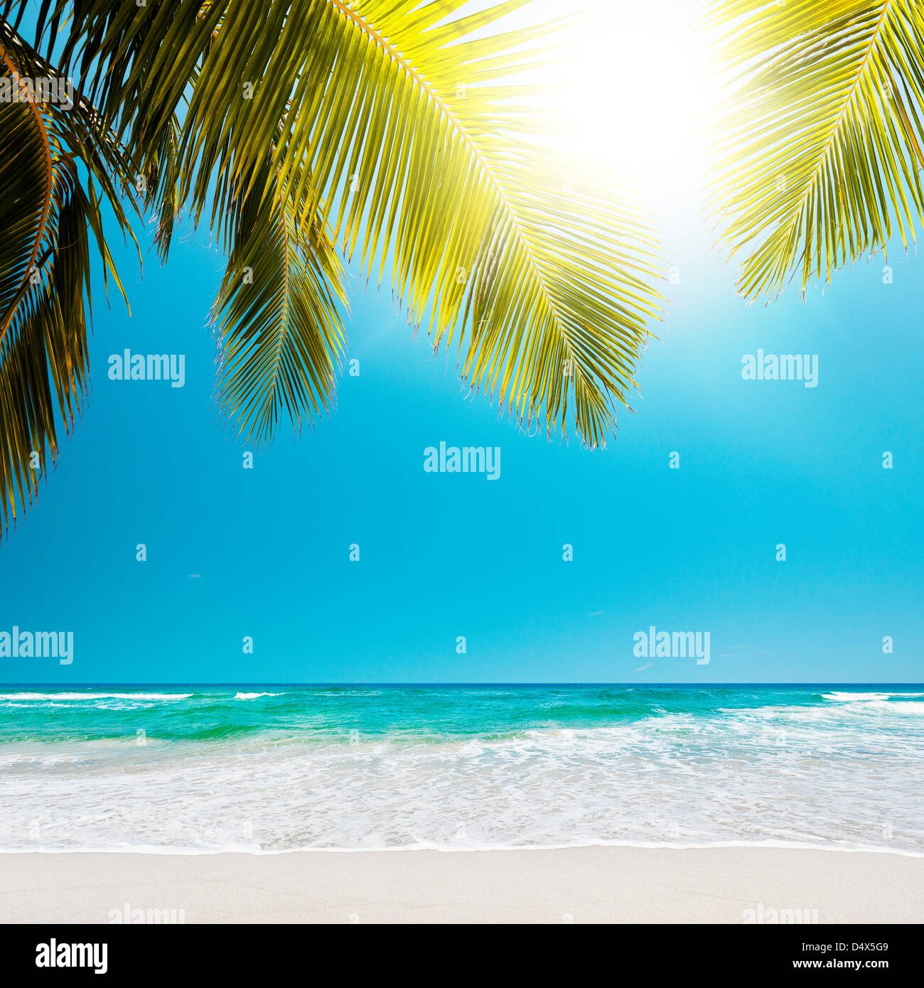 Tropical Beach à sunny day Banque D'Images Tropical Beach à sunny day Banque D'Images