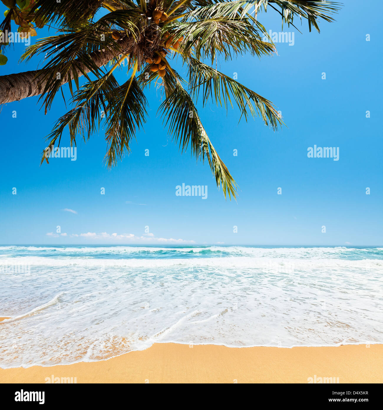 Tropical Beach. La composition carrée. Banque D'Images Tropical Beach. La composition carrée. Banque D'Images