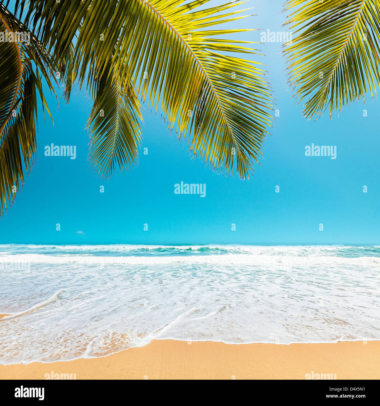 Plage tropical parfait. La composition carrée. Banque D'Images Plage tropical parfait. La composition carrée. Banque D'Images