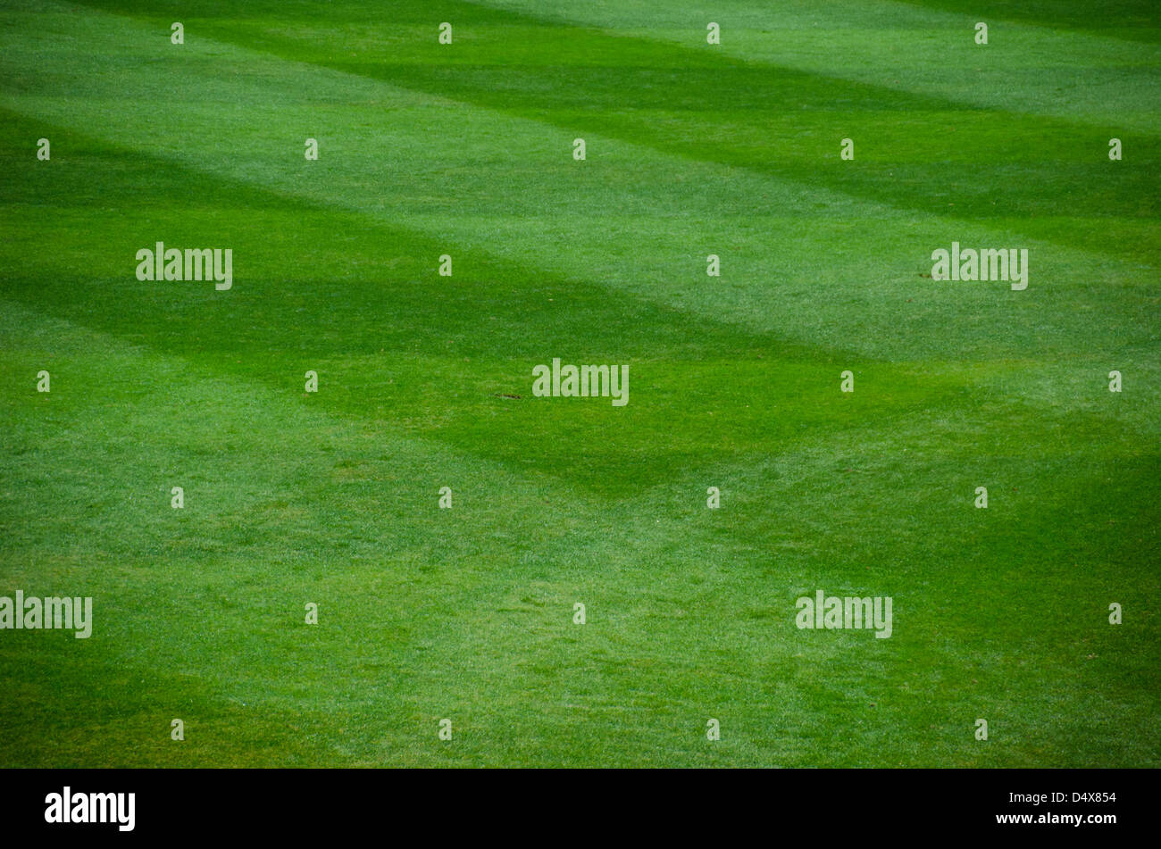 Résumé fond texture de la structure de l'herbe verte damée d'un terrain de baseball professionnel Banque D'Images