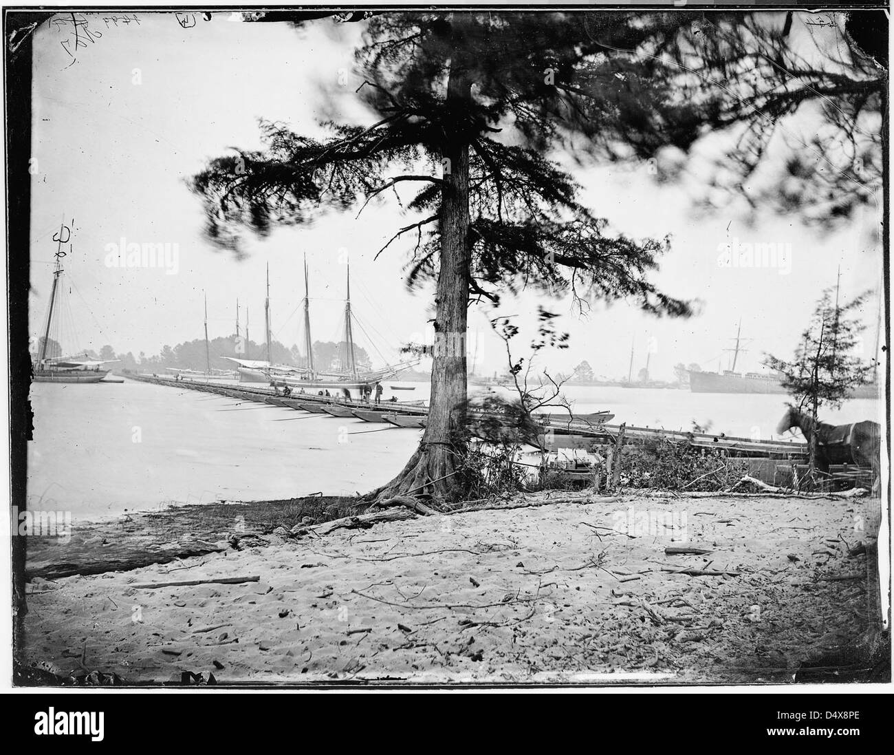 Pont de bateaux sur la Rivière James Banque D'Images