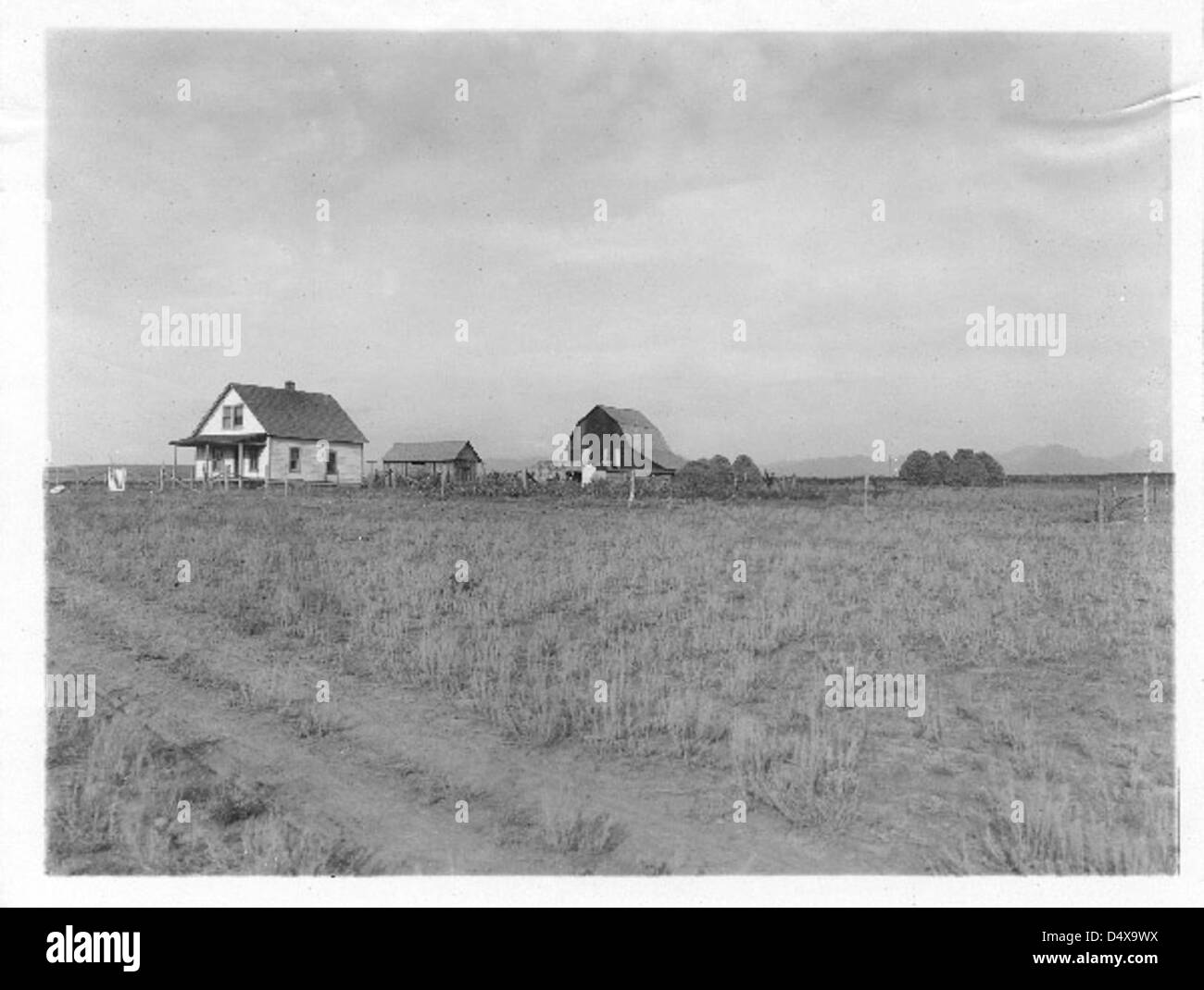 Cette photo représente une ferme dans le cadre du projet d'irrigation de Flathead sur la réserve de Flathead, montrant le développement agricole dans le paysage rural du Montana. Banque D'Images
