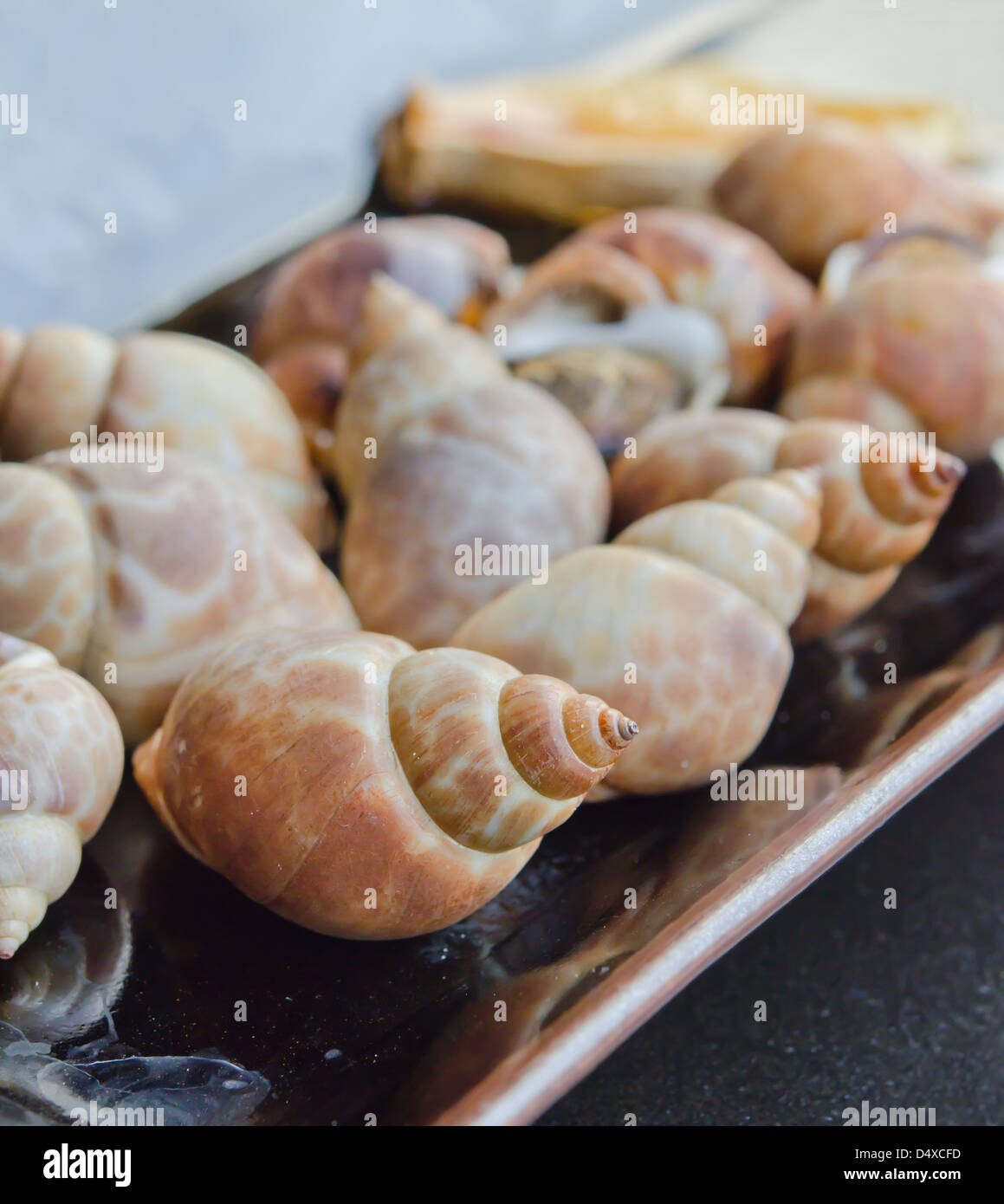 Close up des grillades de fruits de mer sur la Babylone , lave . Banque D'Images