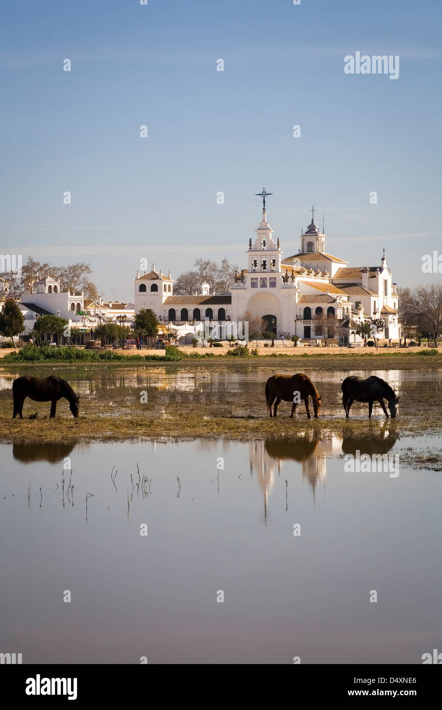 Les chevaux autour de l'Église d'El Rocío, Marais, Almonte, Huelva, Espagne Banque D'Images