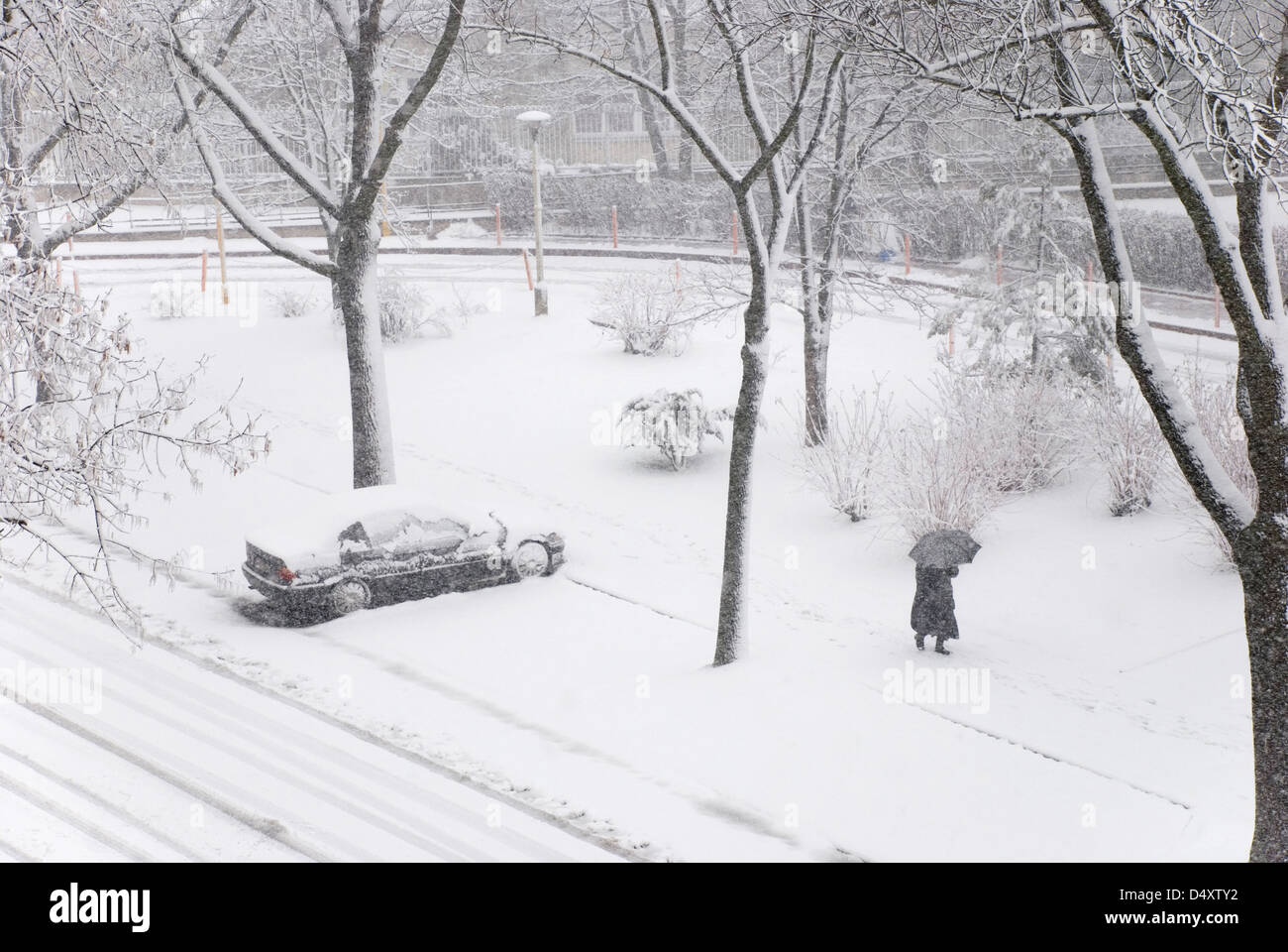 tempête de neige Banque D'Images