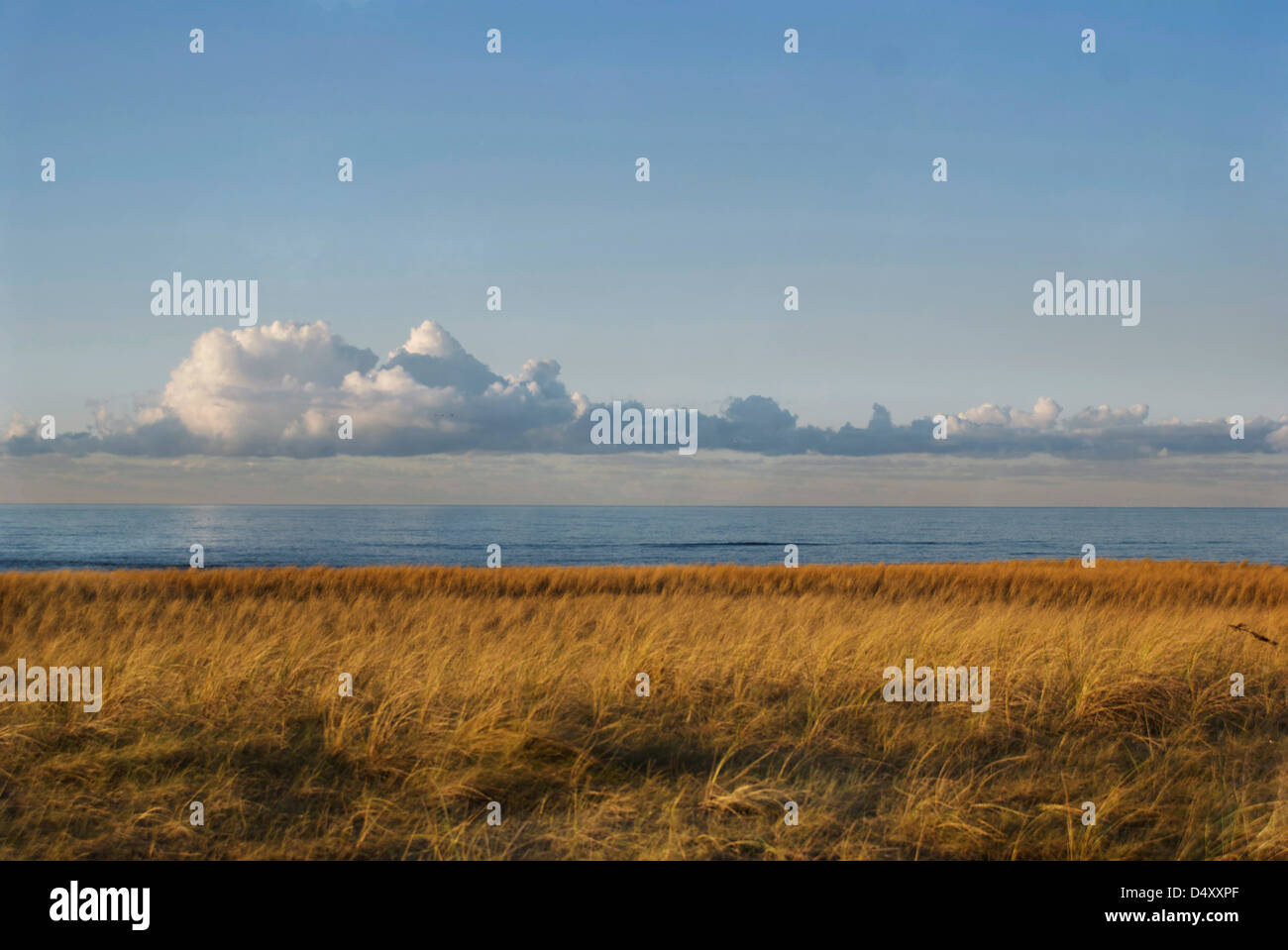 La lumière du matin d'automne sur la côte de Noordwijk Banque D'Images