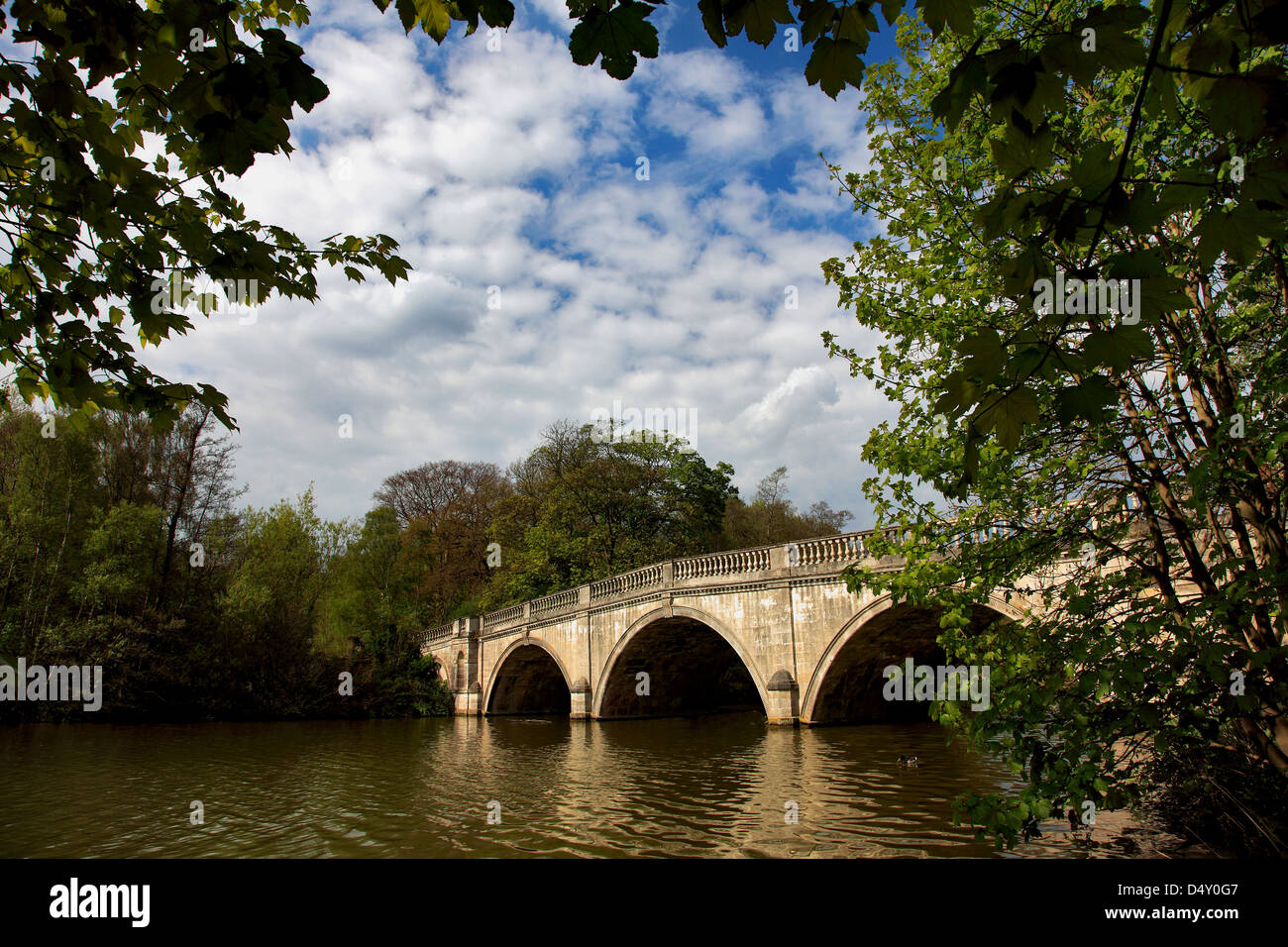 Couleurs Vert printemps, le lac de pont à Clumber Park, Nottinghamshire, Angleterre, Grande-Bretagne, Royaume-Uni Banque D'Images