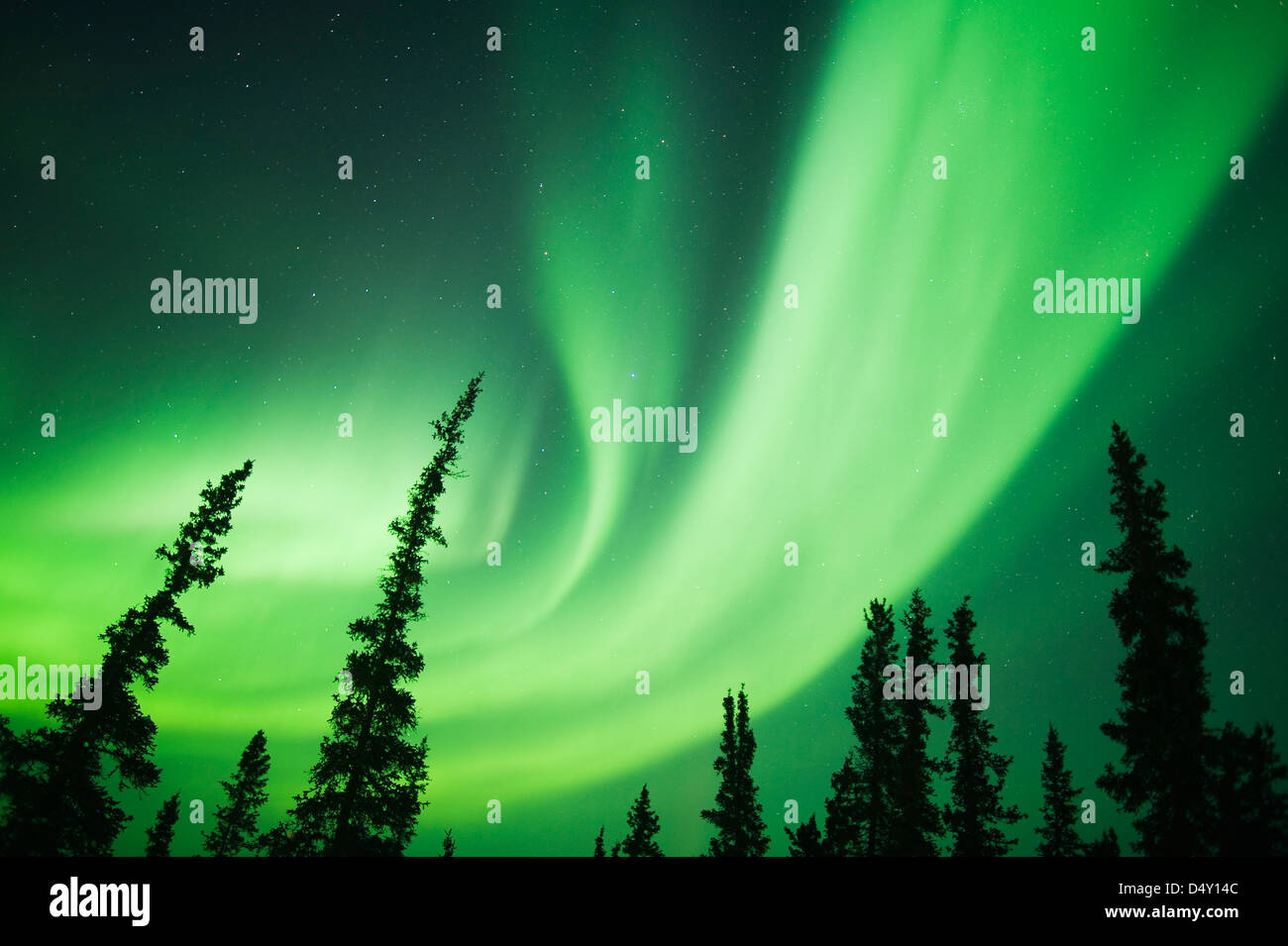 Aurora Borealis ou Northern Lights, Territoires du Nord-Ouest, Canada Banque D'Images