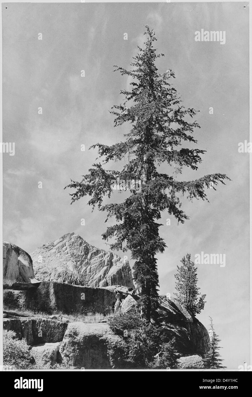 Cette photographie de 1936 par Ansel Adams montre un pic sans nom dans le Kings River Canyon, en Californie. La région a été proposée comme parc national et capture la beauté spectaculaire des paysages montagneux de Californie. Banque D'Images