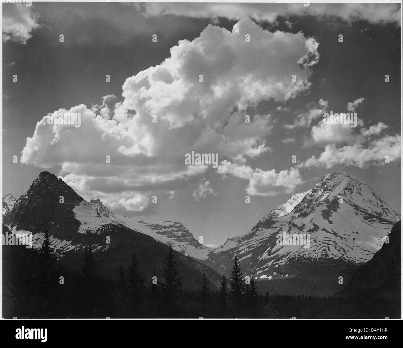 Cette photographie en noir et blanc d'Ansel Adams capture des pins enneigés dans le parc national Glacier, Montana. Les pics et les nuages pittoresques font partie de sa photographie de paysage emblématique. Banque D'Images