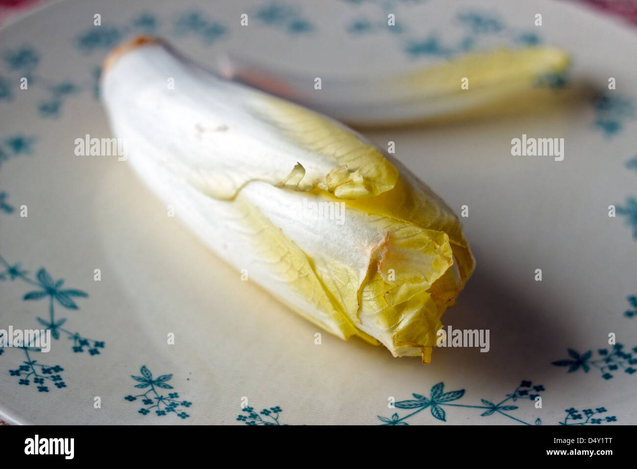 Ou endive chicorée radicchio ou sur une plaque décorative Banque D'Images