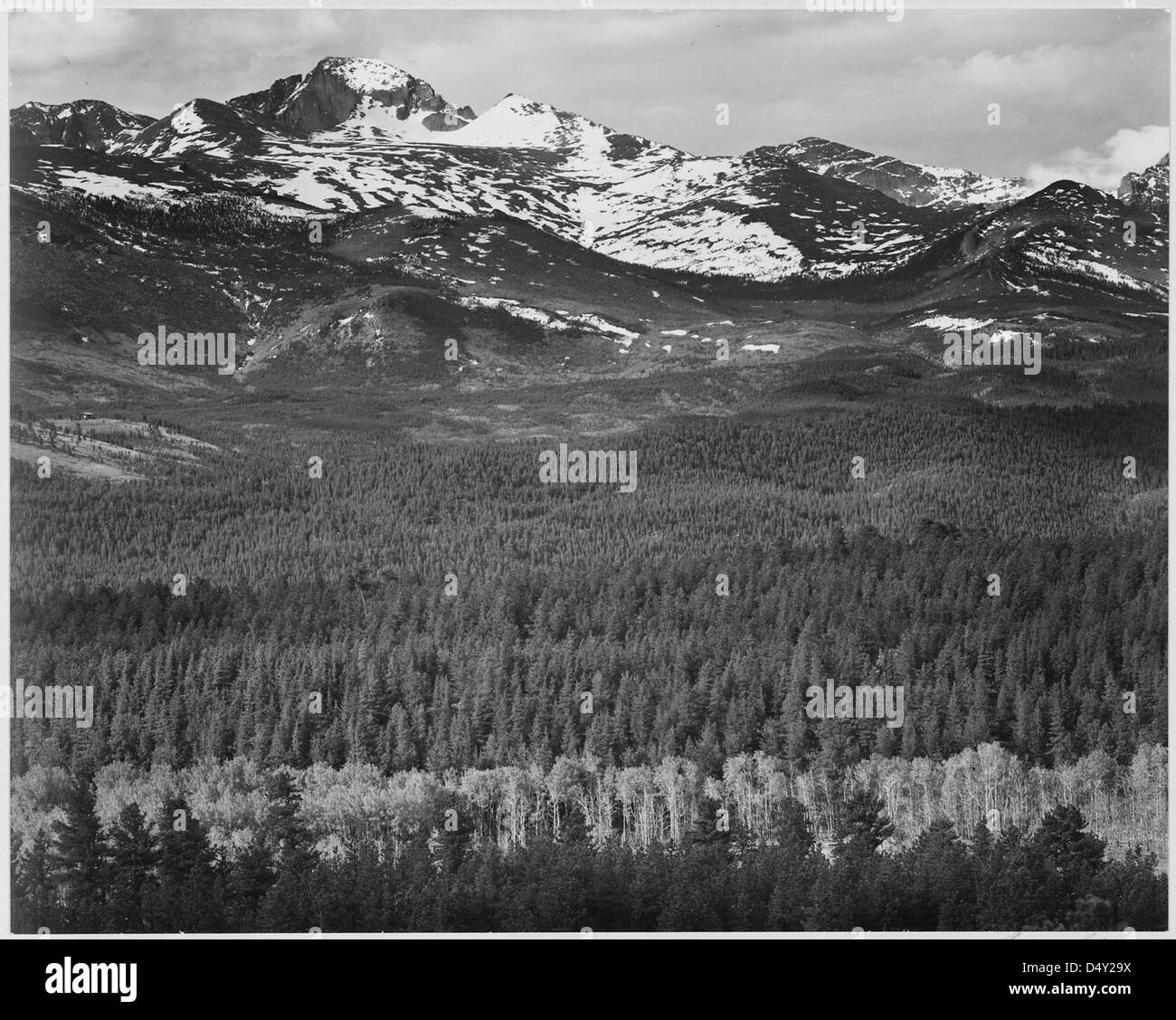 Ansel Adams a capturé cette vue imprenable de long’s Peak depuis la route dans le parc national des montagnes Rocheuses, Colorado. La montagne enneigée et les arbres environnants créent un paysage époustouflant de la beauté naturelle du parc national. Banque D'Images