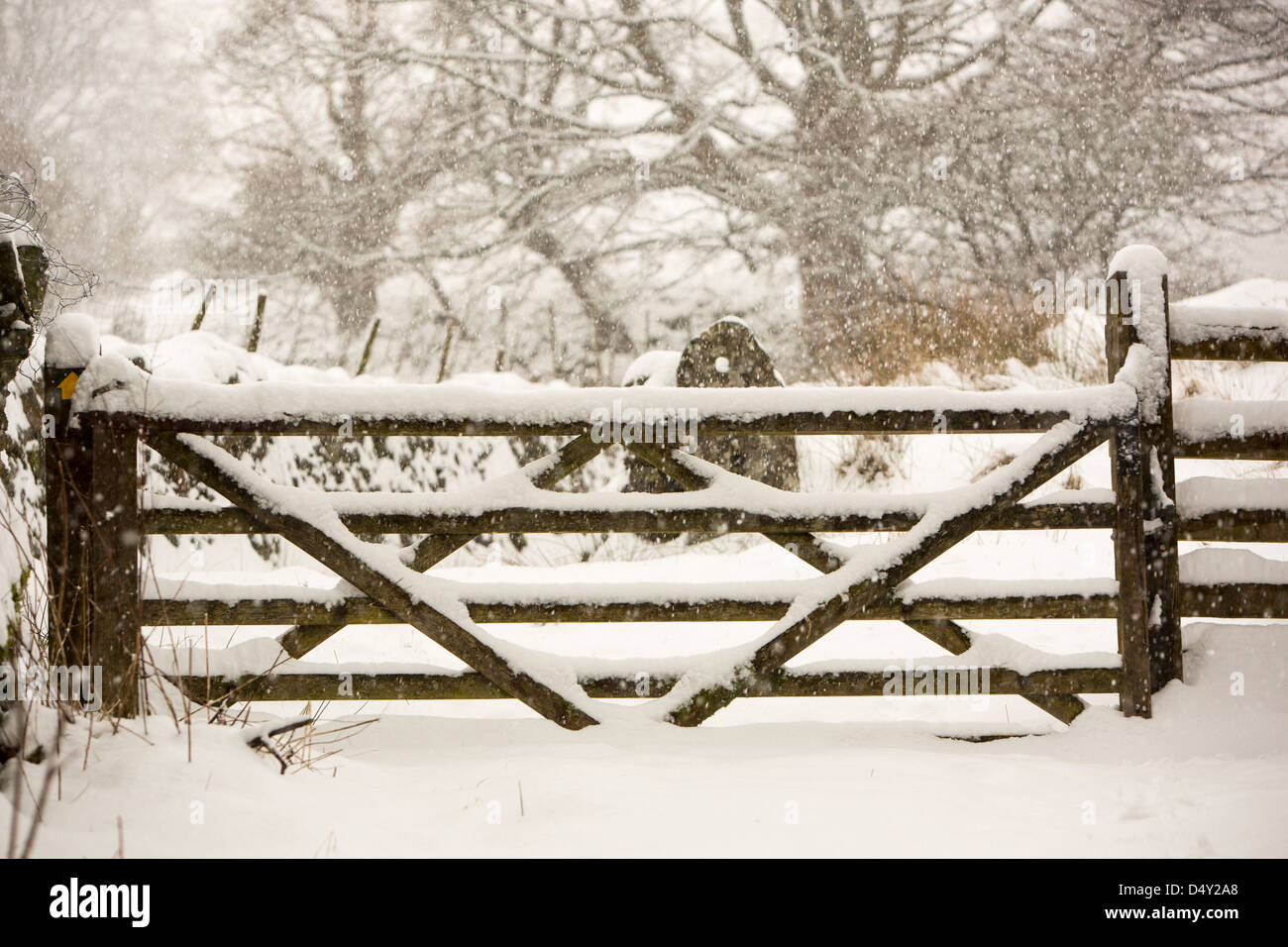 Une porte dans la neige lourde à Ambleside, Lake District, UK. Banque D'Images