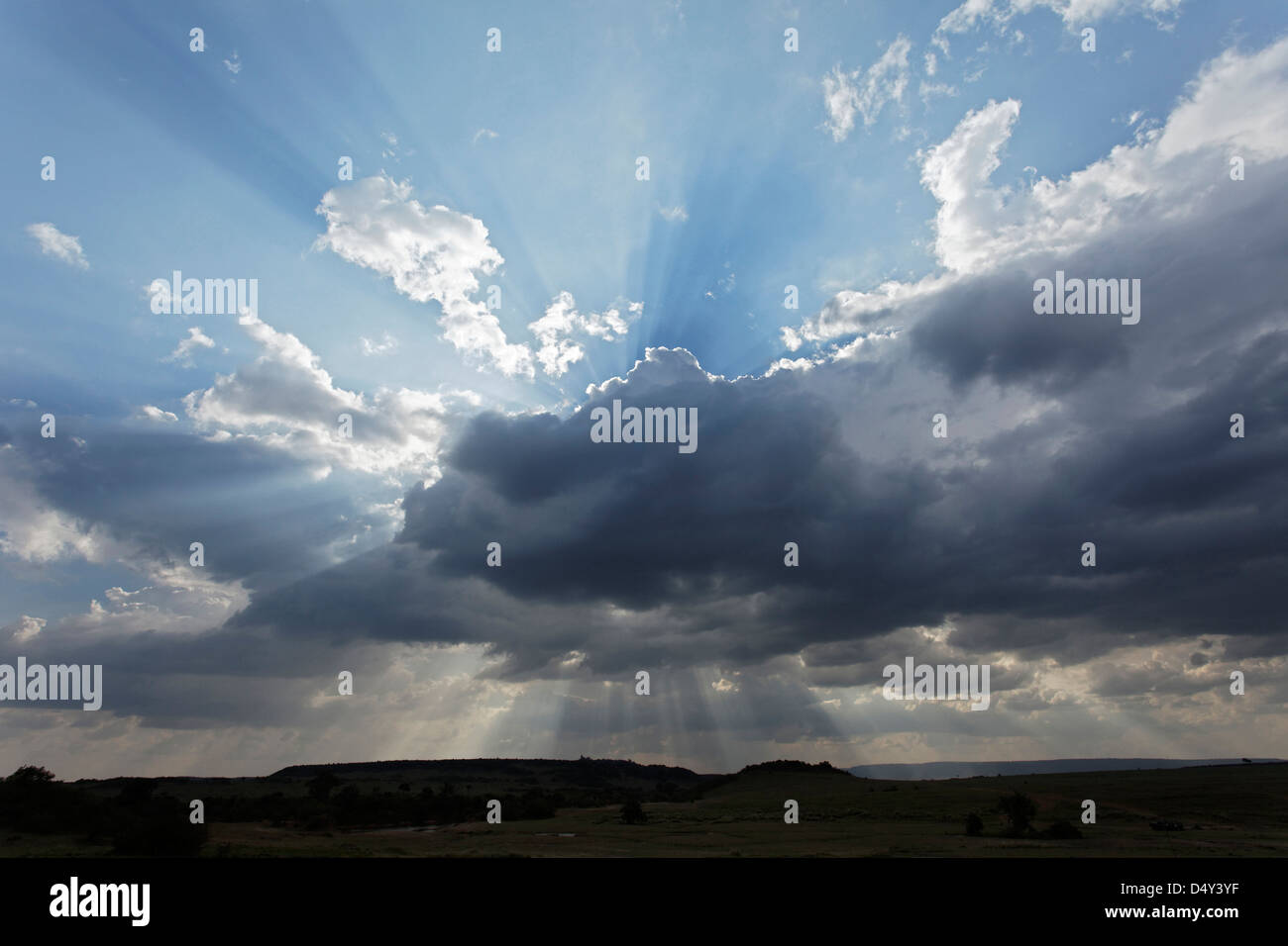 Streaming des faisceaux lumineux à travers les nuages, Maasai Mara, Kenya Banque D'Images