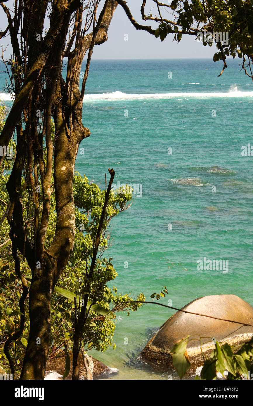 Plage dans le Parc National Tayrona, région des Caraïbes en Colombie. Banque D'Images