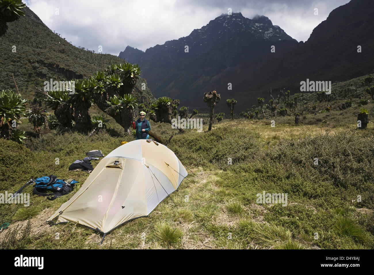 Tente avec le Mont Baker et Bujuku, tourbières, des Monts Rwenzori en Ouganda Banque D'Images