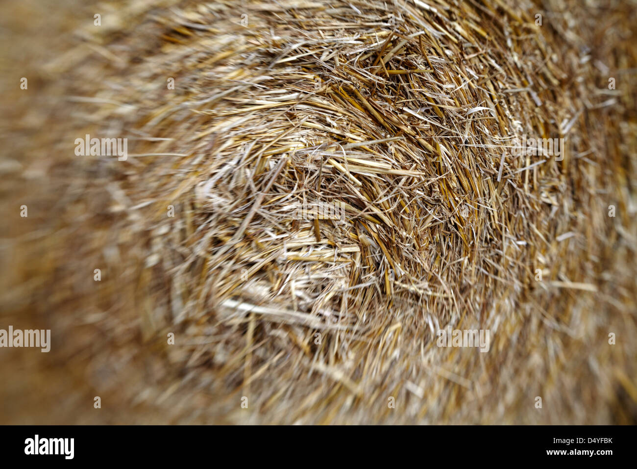 Gros plan du grand rond botte de paille Banque D'Images