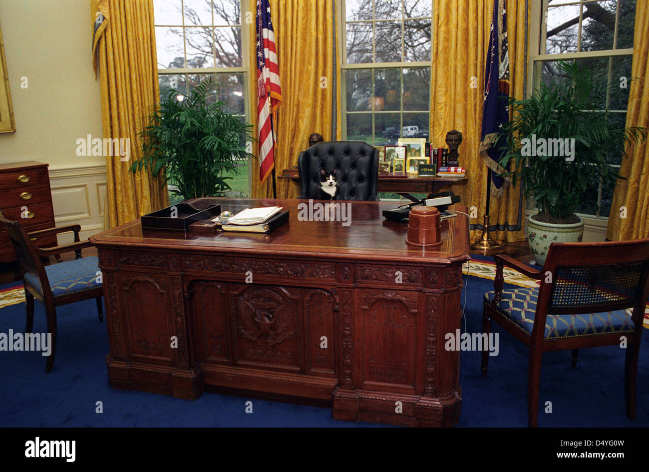 Photographie de chaussettes le Chat assis derrière le bureau du président dans le bureau ovale : 01/07/1994 Banque D'Images