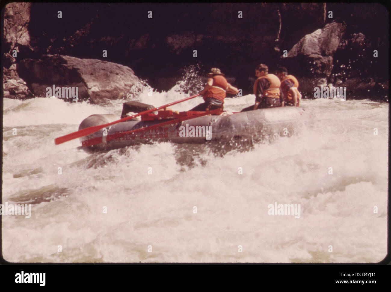 Un petit (17 pieds) en radeau moutons sauvages rapides sur la rivière Snake dans le Hells Canyon..., 05/1973 Banque D'Images
