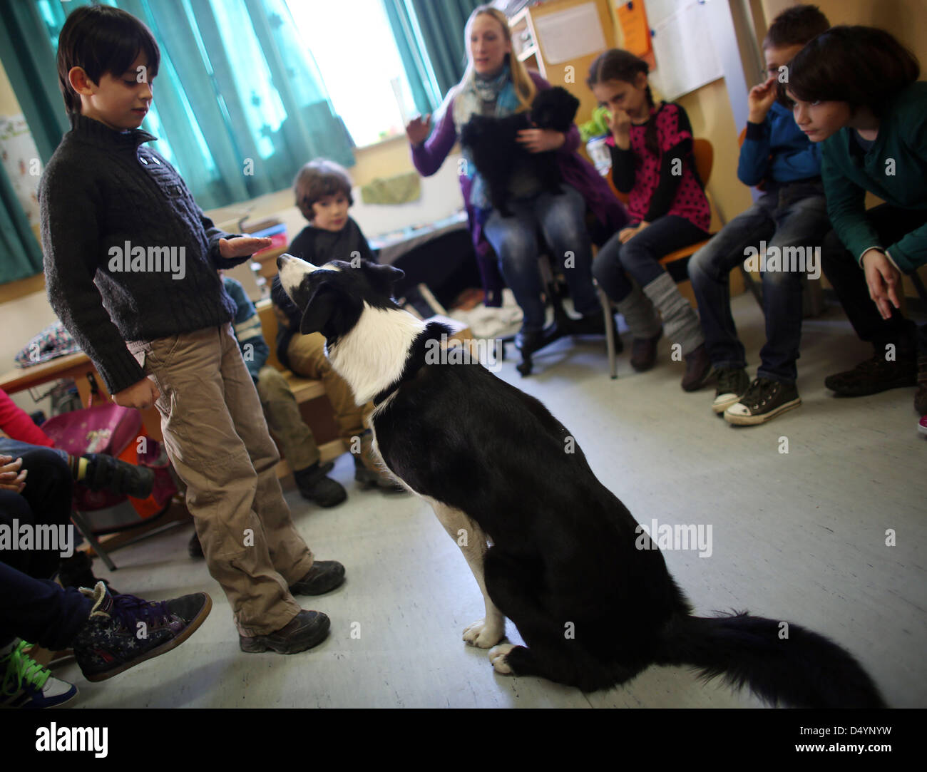 Les élèves de la deuxième année à l'école Sternsinger jouer avec chien Felix à Cologne, Allemagne, 18 mars 2013. Professeur à l'école a pris ses chiens à ses leçons pour la moitié d'une année. Photo : Oliver Berg Banque D'Images