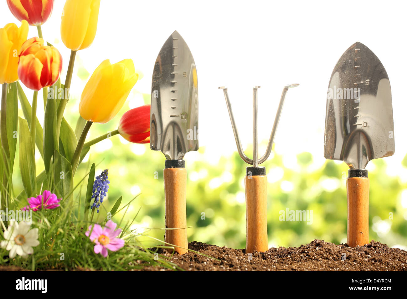 Outils de jardin, l'herbe verte et de fleurs Banque D'Images