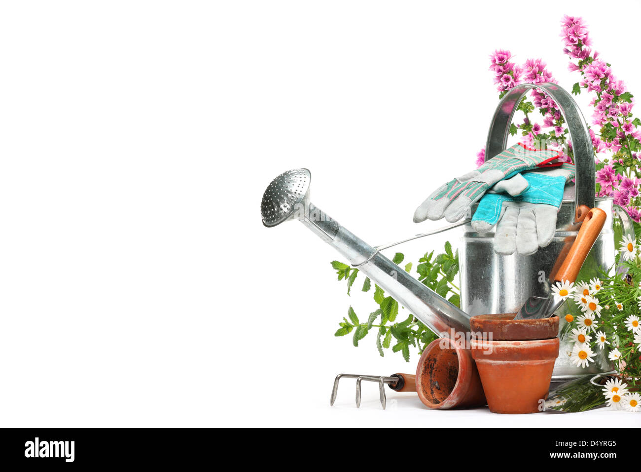 Outils de jardinage et de fleurs isolated on white with copy space Banque D'Images