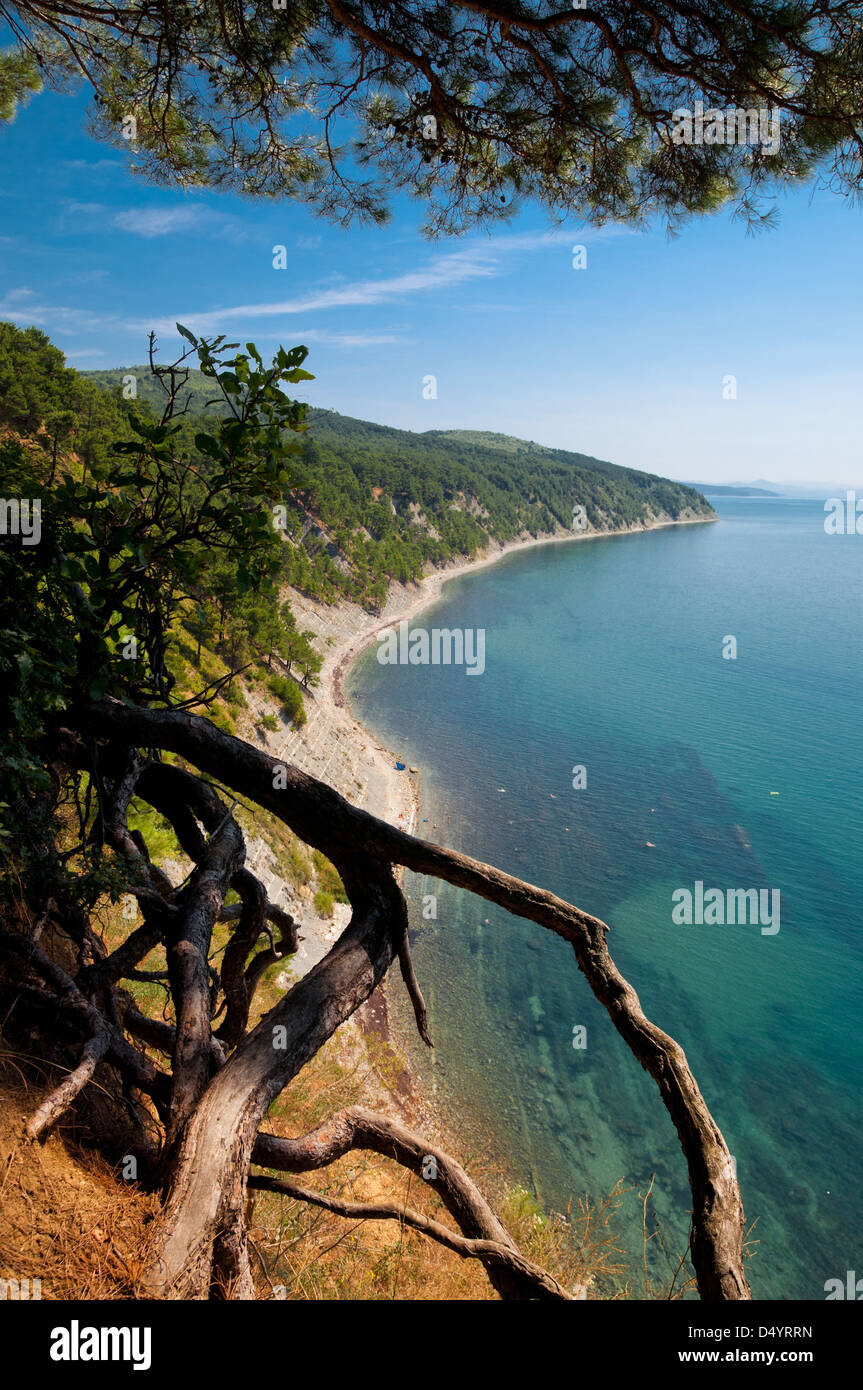Vue sur la mer Noire. Betta, Gelendzhik district, région de Krasnodar, Russie Banque D'Images