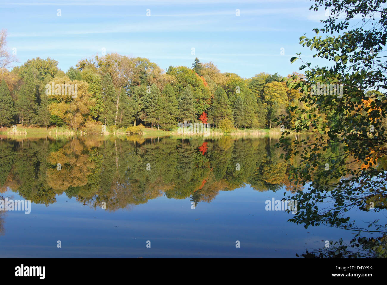 Sur le lac Park Bozeny Nemcove parc public de la ville de Karvina en République tchèque avec des arbres arounded sur l'eau sol et ciel clair par beau jour d'automne Banque D'Images