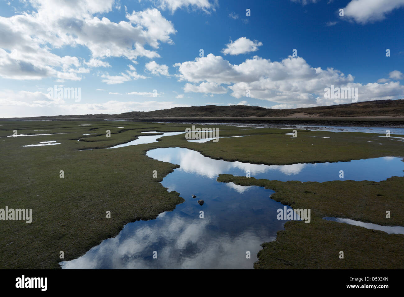 Matsh sel dans le fleuve de l'estuaire de Ogmore. Vale of Glamorgan. Le Pays de Galles. UK. Banque D'Images