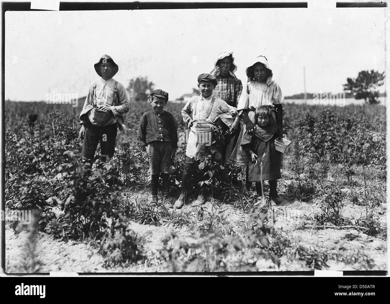 Slebzak (polonais) de la famille travaillant sur Bottomley ferme. Ils ont travaillé ici 3 ans et d'un hiver, juin 1909 Banque D'Images