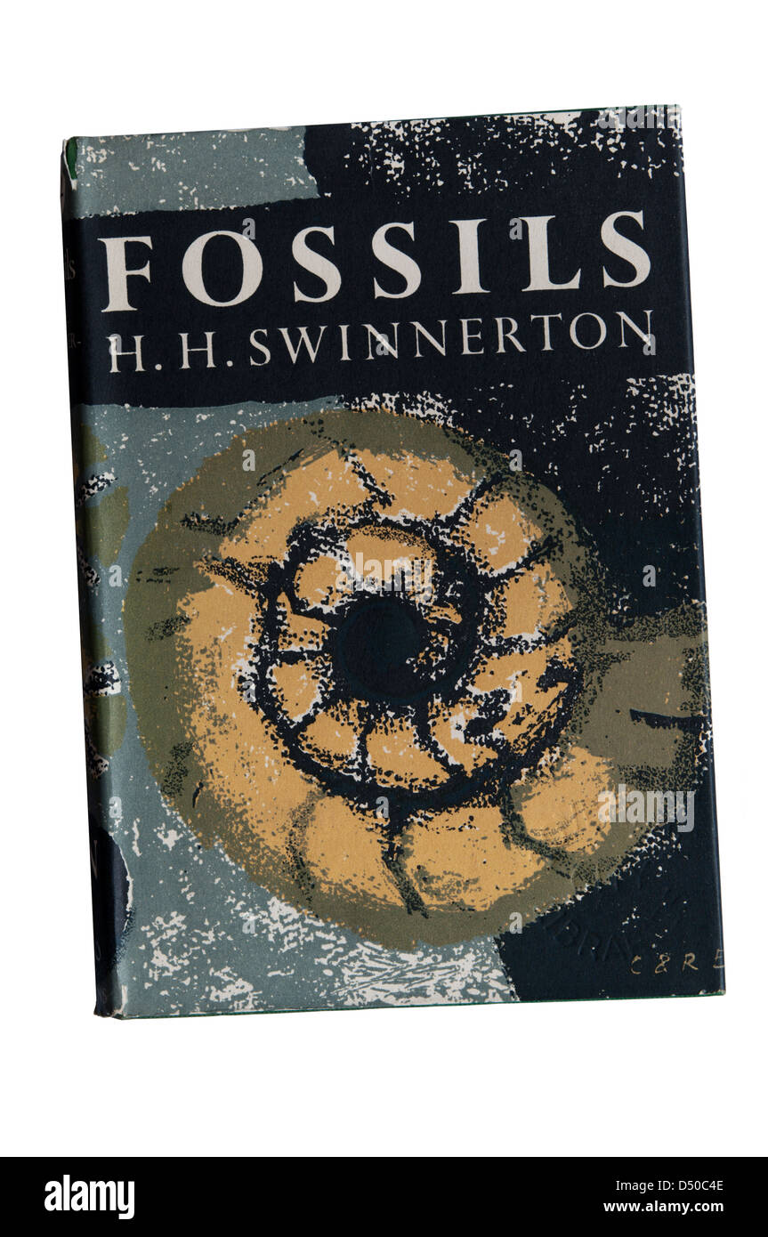 Fossiles par H H Swinnerton, numéro du volume 42 dans la nouvelle série Collins naturaliste. Banque D'Images