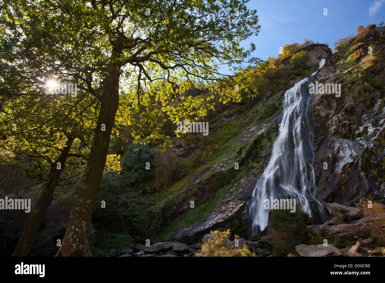 Powerscourt Waterfall, la plus haute cascade de l'Irlande, le comté de Wicklow, en Irlande. Banque D'Images