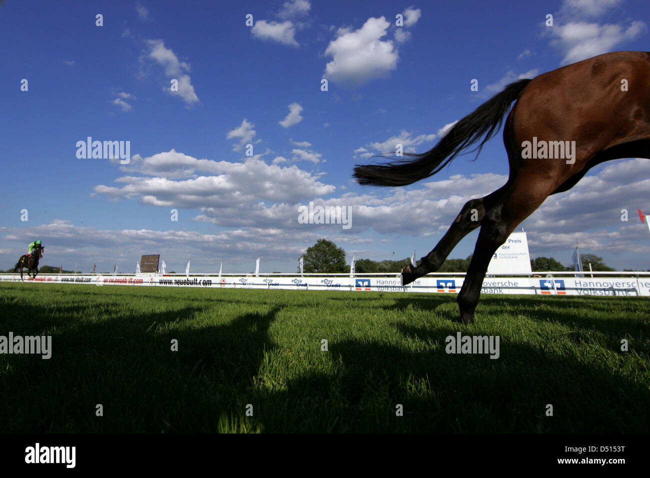 Hanovre, Allemagne, chevaux et cavaliers au galop préliminaire à un galop Banque D'Images