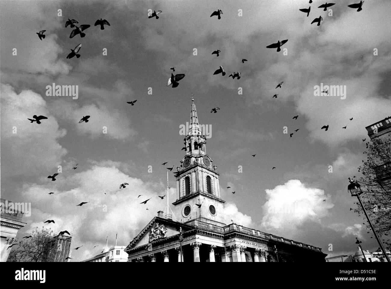 Les pigeons volent au-dessus de St-Martin-dans-le-champs, Trafalgar Square, London, United Kingdom Banque D'Images