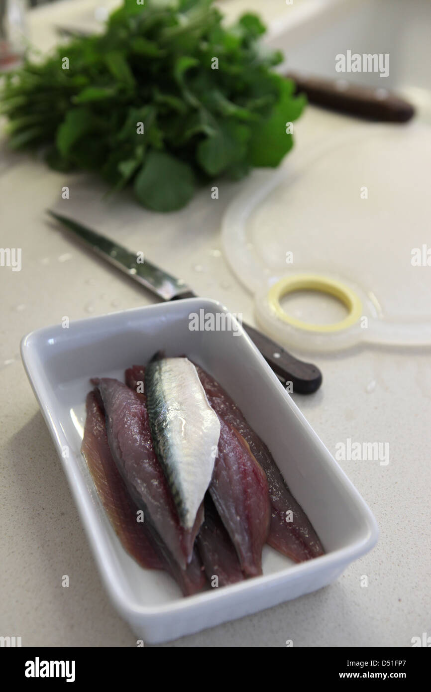 Filet de maquereau cru avec des herbes et épices Banque D'Images