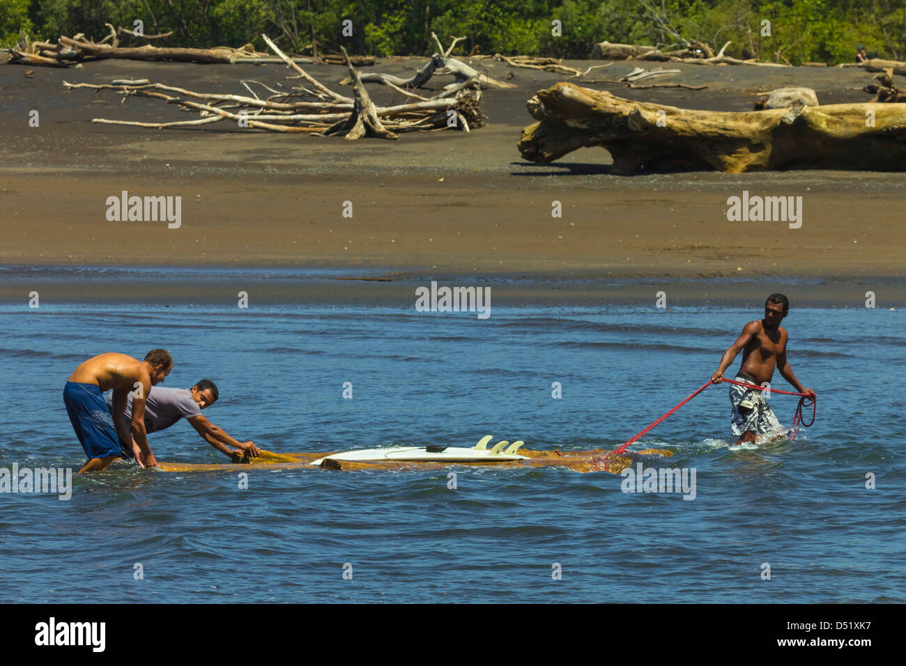 Les hommes locaux & surfer réunissant un grand morceau de bois flotté jusqu'au fleuve, Nosara Playa Nosara, Nosara, Province de Guanacaste, Costa Rica Banque D'Images