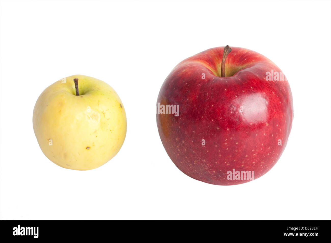 Pomme pourrie et saveurs de pomme sur un fond blanc Banque D'Images
