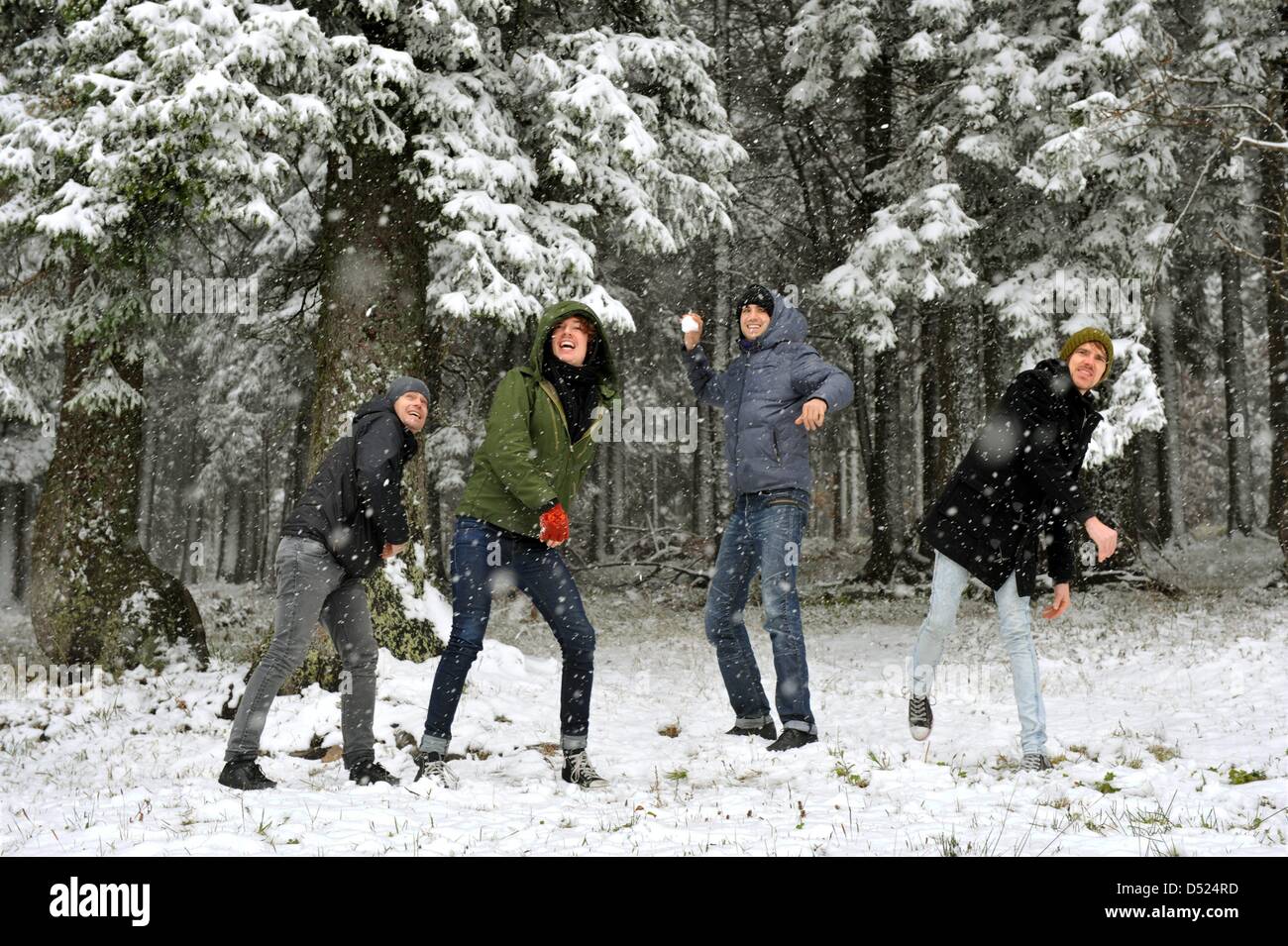 Les membres d'un groupe de musique australien profitez d'une bataille de boules de neige dans une forêt au Feldberg en Forêt-Noire, Allemagne, 16 octobre 2010. La montagne de 1493 mètres est déjà couvert par une fine couche de neige. Photo : Rolf Haid Banque D'Images