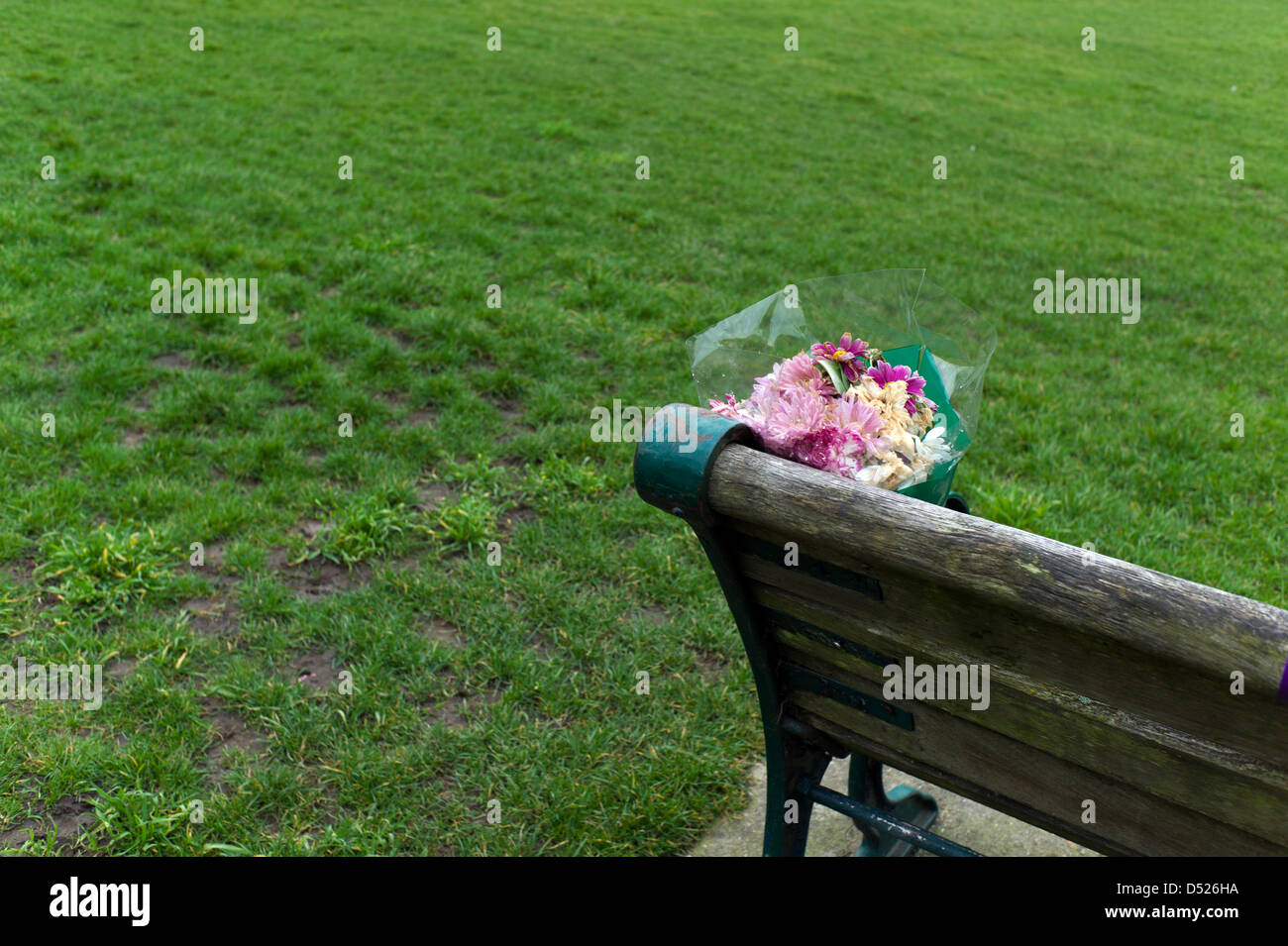 Fleurs sur banc de parc, Brighton, UK Banque D'Images