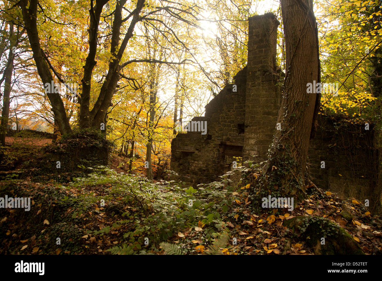 Bâtiments abandonnés dans Lumsdale Derbyshire Banque D'Images