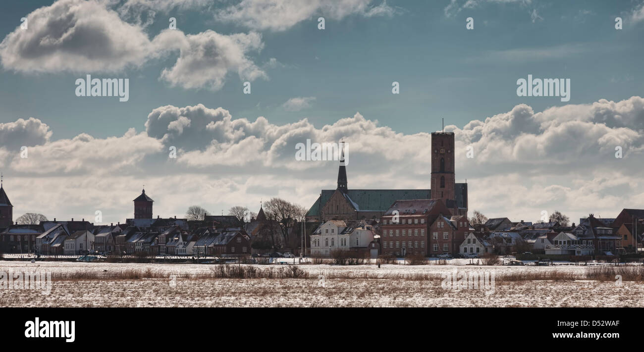 Panorama de la cathédrale de Ribe dans le marais danois Banque D'Images