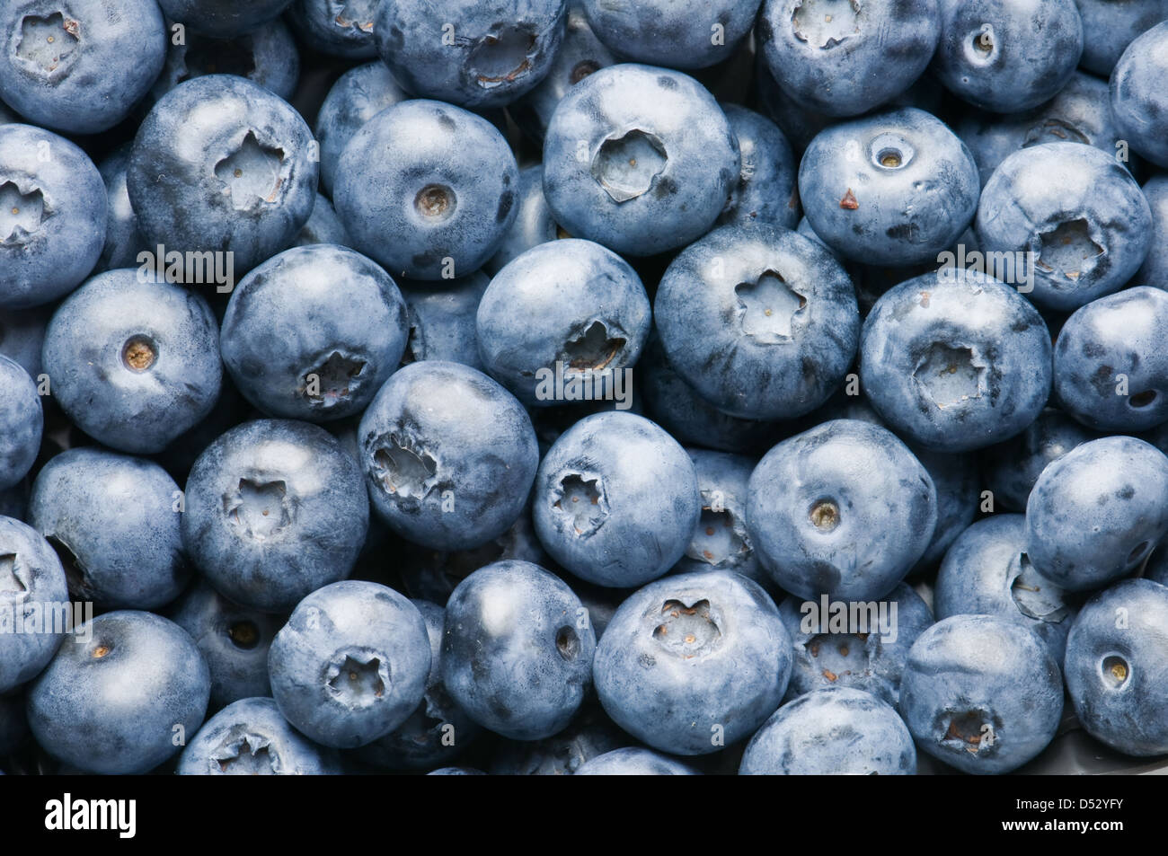 Fraîcheur mûre blueberry close up Banque D'Images