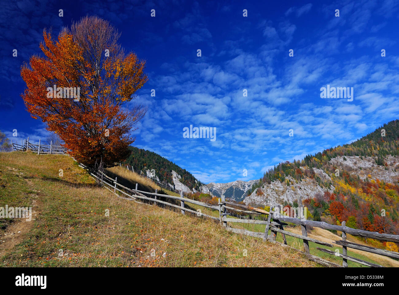 Décor de l'automne dans les montagnes des Carpates, du paysage rural de Magura village à Brasov comté. La Transylvanie, Roumanie. Banque D'Images